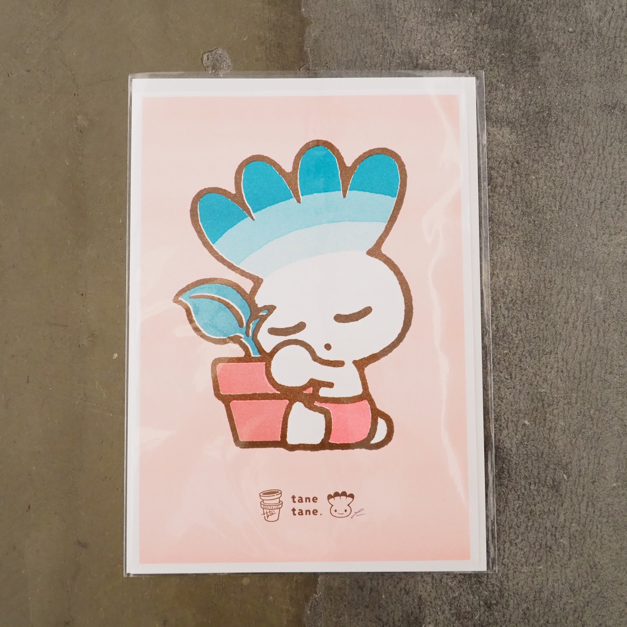 タキタサキ | LOCAL