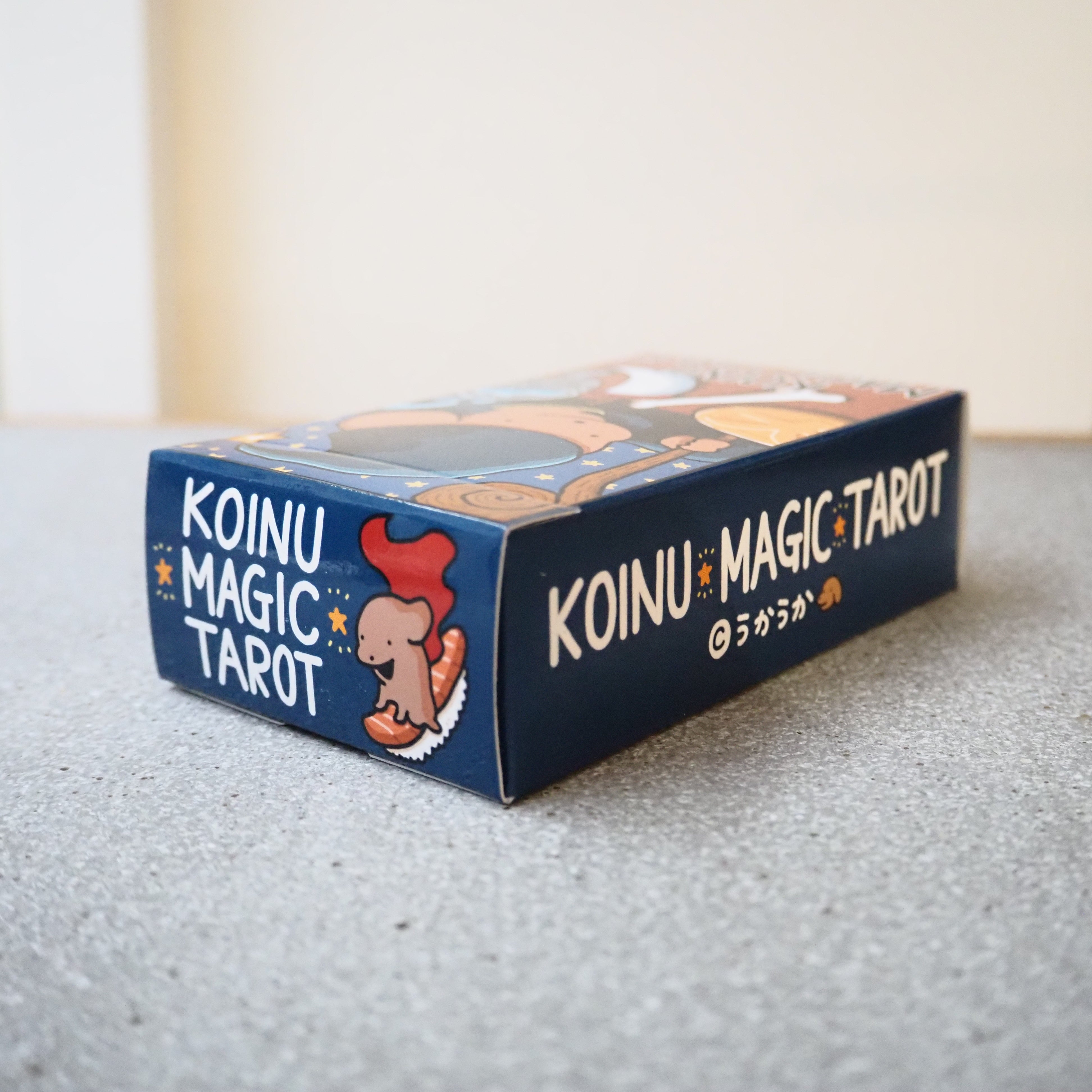 こいぬマジックタロット | LOCAL