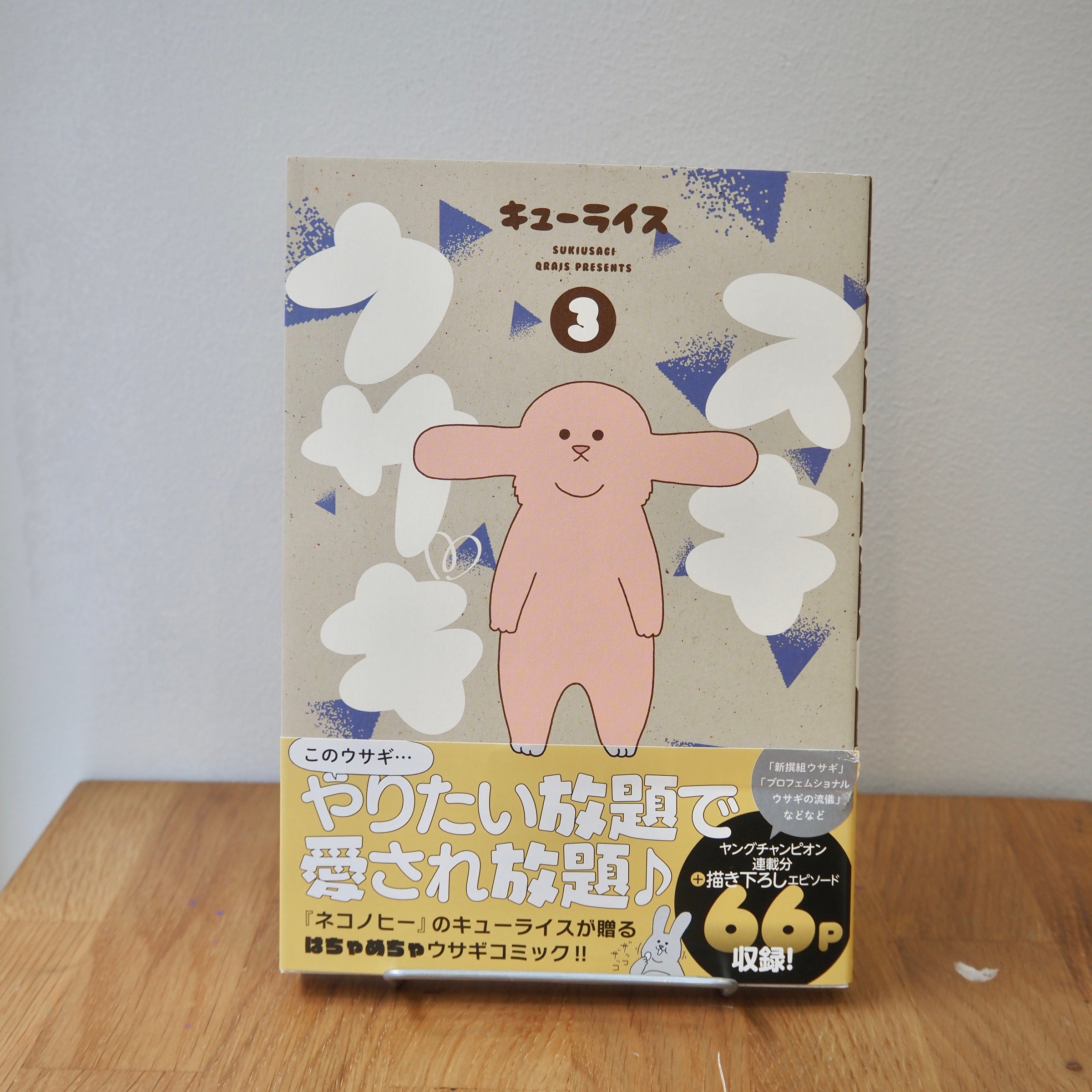 キューライス スキウサギ 5 | LOCAL